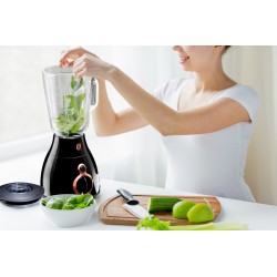 BLENDER BERLINGER HAUS BLACK ROSE BH-9025